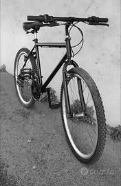 mountain bike semplice non ammortizzata