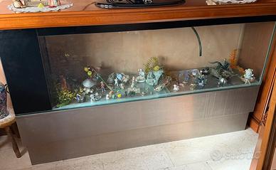 Acquario