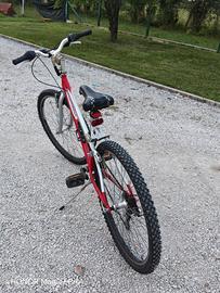 bici da donna-bambino 