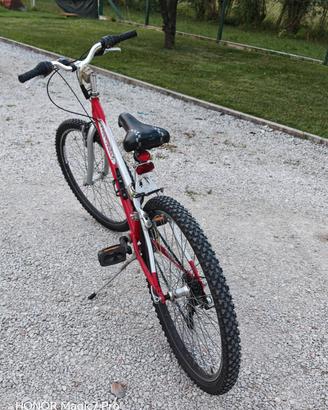 bici da donna-bambino 