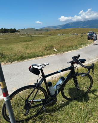 Bici Frw napa walley