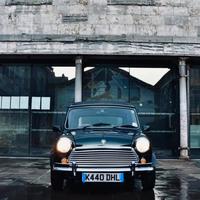 Mascherina griglia mini classica