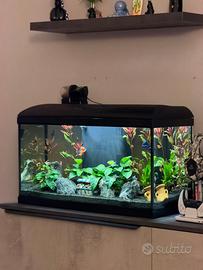 Aquario amtra 80 led NUOVO