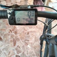Bici elettrica