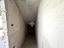 Immagine 13