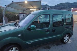 kangoo