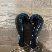 Guantoni boxe everlast