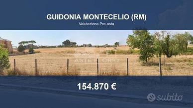 Immobile in asta di 32265 m² a Guidonia Montecelio