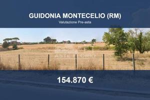 Immobile in asta di 32265 m² a Guidonia Montecelio