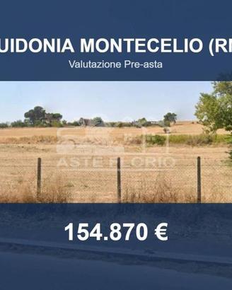 Immobile in asta di 32265 m² a Guidonia Montecelio