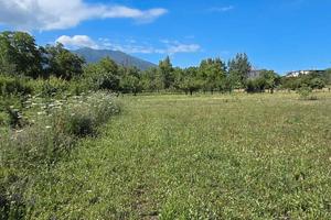 Terreno agricolo di 7.106 mq