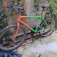 mountain bike da adulto