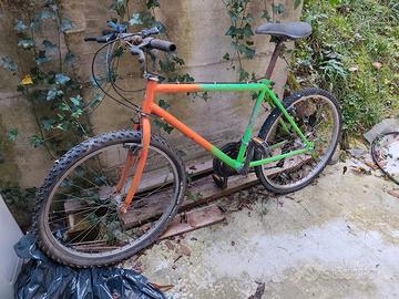 mountain bike da adulto