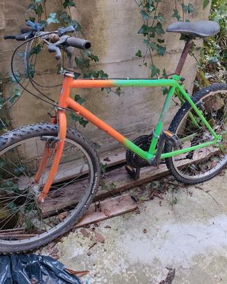 mountain bike da adulto