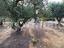 Immagine 11