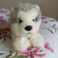 Peluche Siberian Husky