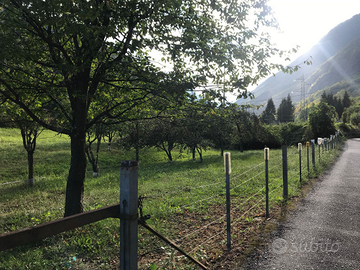 Terreno edificabile Pontegrande/Bannio Anzino