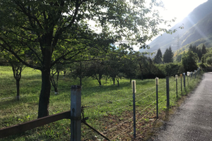 Terreno edificabile Pontegrande/Bannio Anzino