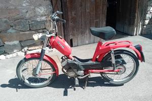 Benelli Altro modello - 1981
