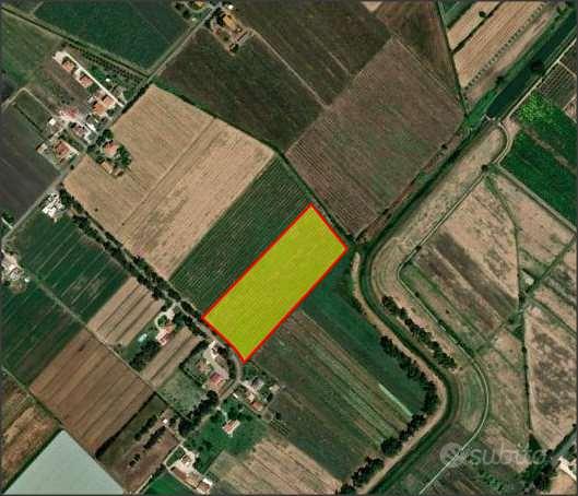 TERRENO AGRICOLO DI 4,8 ETTARI LATINA, ZONA CASAL - Vista 3