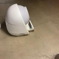 lettiera gatti autopulente