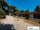 casa-indipendente-con-giardino