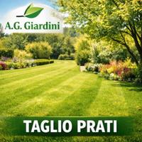 A.G. Giardini - Taglio Prati, Siepi e trattamenti