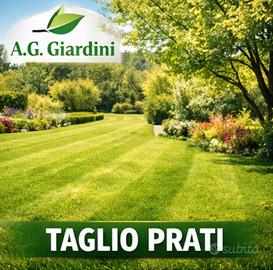 A.G. Giardini - Taglio Prati, Siepi e trattamenti