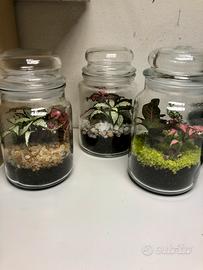 Terrario con piante