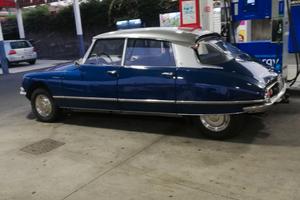 Ds pallas 21 s emiautomatico