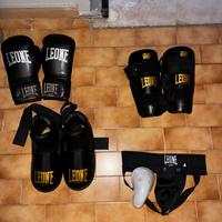 Protezioni Complete Kick Boxing, Leone.