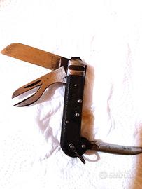 MULTIUSO  in collezione