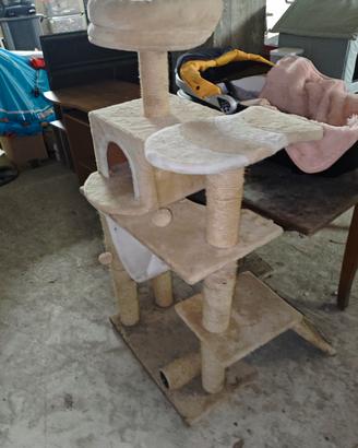 tiragraffi per gatti 