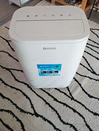 Pinguino Condizionatore e Deumidificatore