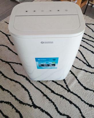 Pinguino Condizionatore e Deumidificatore