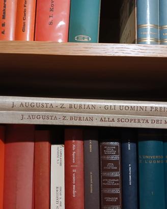 Volumi Augusta- Burian