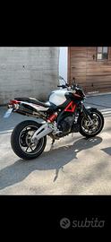 Vedo Aprilia Shiver 750 abs (35kw)