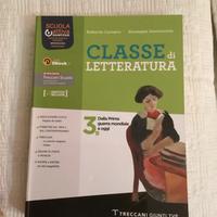 Classe di letteratura 3b
