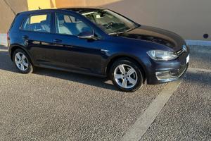 Volkswagen Golf Highline Business 1.4 TGI (metano)