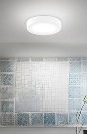 Lampada vistosi sogno