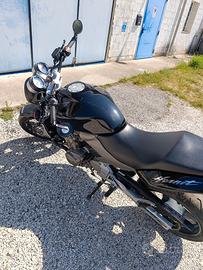 Honda Hornet 600