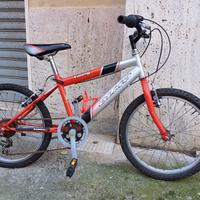 Bici bimbo Olmo Young ruote 20"