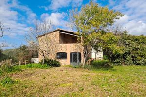 Tenuta con vista Mare Suvereto Livorno