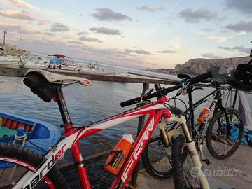 FRW CARBON BICICLETTA