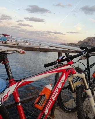 FRW CARBON BICICLETTA