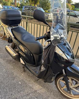 SH 300 del 2010