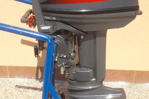 Yamaha 25 2 tempi gambo corto