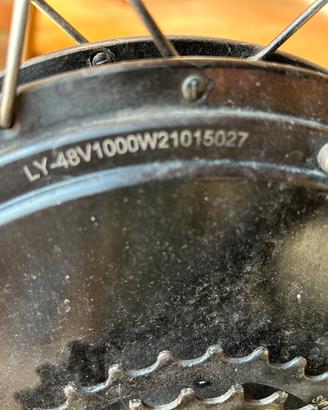Ruota, motore bike e accessori