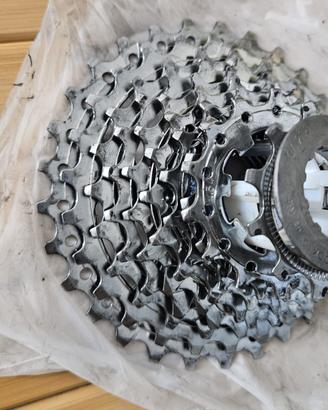 pacco pignoni miche campagnolo 