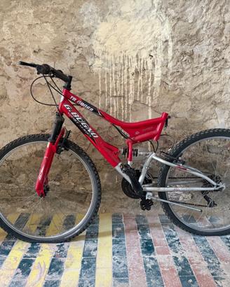 Bicicletta ragazzi
